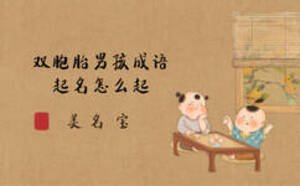 雙胞胎男孩成語(yǔ)起名怎么起
