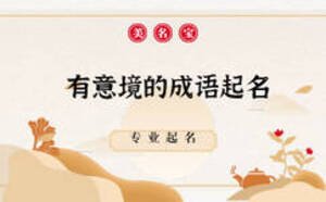 有意境的成語起名