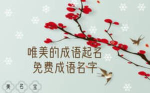 唯美的成語起名，免費成語名字