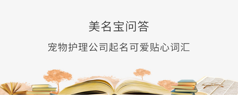 寵物護理公司起名可愛貼心詞匯