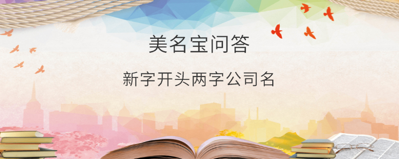 新字開頭兩字公司名