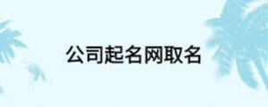 公司起名網(wǎng)取名