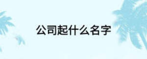 公司起什么名字