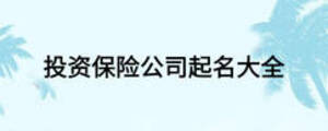 投資保險(xiǎn)公司起名大全