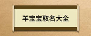 羊?qū)殞毴∶笕? width=
