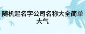 隨機起名字公司名稱大全簡單大氣