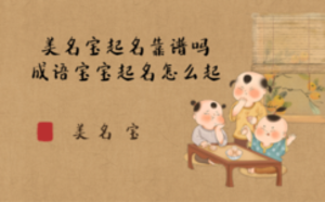 美名寶起名靠譜嗎，成語寶寶起名怎么起
