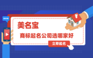 商標(biāo)起名可以找起名公司嗎，選哪家好