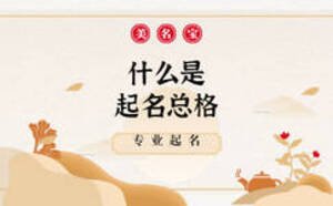什么是起名總格，哪家公司起名靠譜