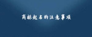 商標(biāo)起名的注意事項(xiàng)