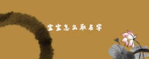 寶寶怎么取名字