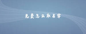 免費怎么取名字