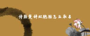 詩經(jīng)楚辭雙胞胎怎么取名