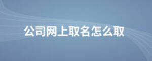 公司網(wǎng)上取名怎么取