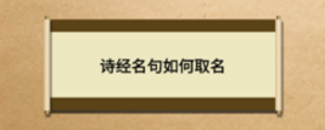 詩(shī)經(jīng)名句如何取名