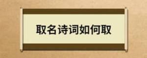 取名詩詞如何取