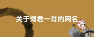 關于博君一肖的網名