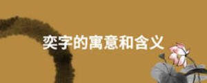 奕字的寓意和含義