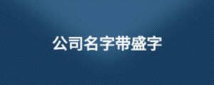 公司名字帶盛字