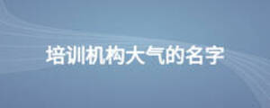 培訓(xùn)機(jī)構(gòu)大氣的名字
