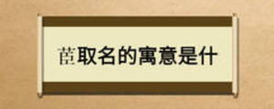 茞取名的寓意是什
