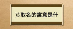 莀取名的寓意是什