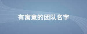 有寓意的團(tuán)隊(duì)名字