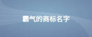 霸氣的商標(biāo)名字