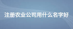 注冊農業公司用什么名字好