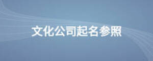 文化公司起名參照