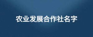 農業發展合作社名字