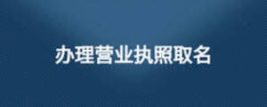 辦理營(yíng)業(yè)執(zhí)照取名