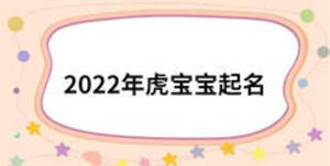 2022年虎寶寶起名