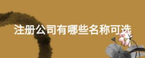 注冊公司有哪些名稱可選
