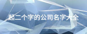 起二個字的公司名字大全