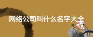 網絡公司叫什么名字大全