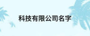 科技有限公司名字