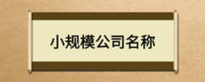 小規模公司名稱