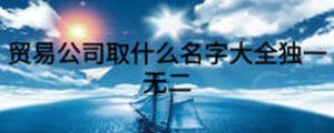 貿(mào)易公司取什么名字大全獨一無二