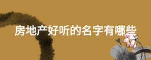 房地產(chǎn)好聽(tīng)的名字有哪些