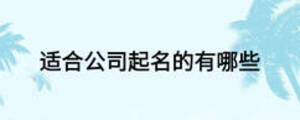 適合公司起名的有哪些