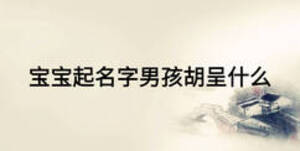寶寶起名字男孩胡呈什么