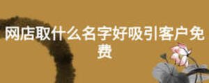 網店取什么名字好吸引客戶免費
