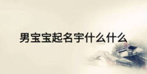 男寶寶起名宇什么什么