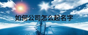 如何公司怎么起名字