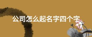 公司怎么起名字四個字