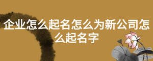 企業(yè)怎么起名怎么為新公司怎么起名字