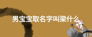 男寶寶取名字叫梁什么
