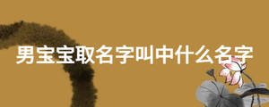 男寶寶取名字叫中什么名字