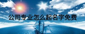 公司專業怎么起名字免費